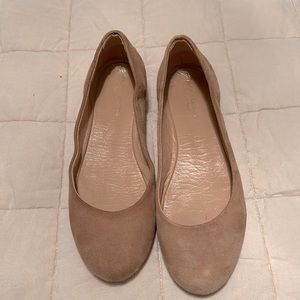 Andrea Carrano suede ballet flats